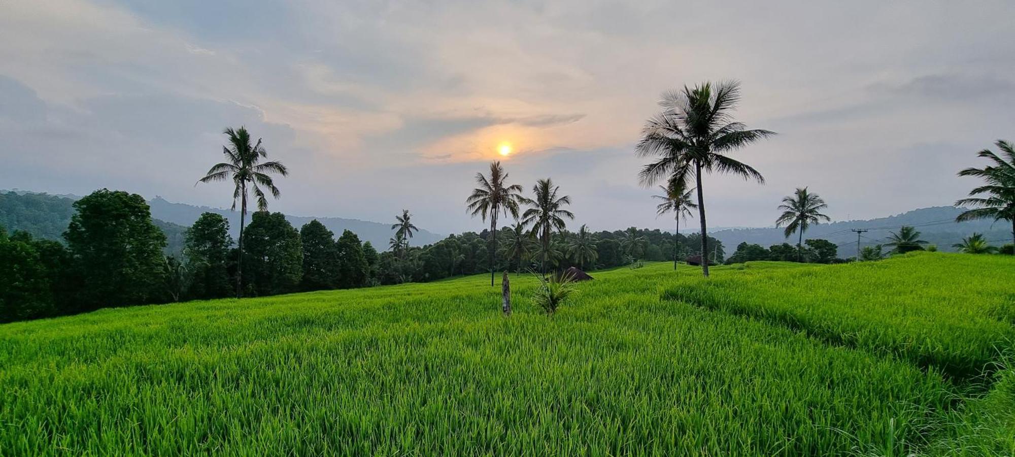 Utopiaku - Munduk Highlands Villa ภายนอก รูปภาพ