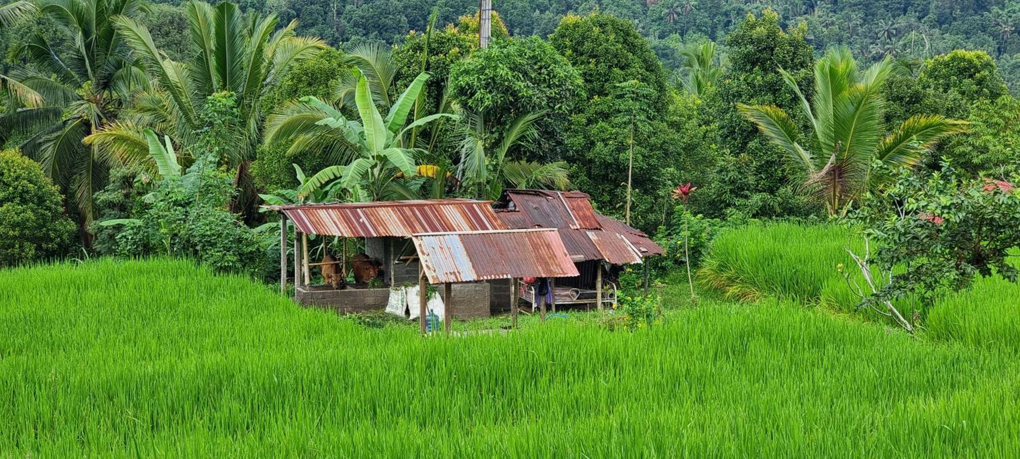 Utopiaku - Munduk Highlands Villa ภายนอก รูปภาพ