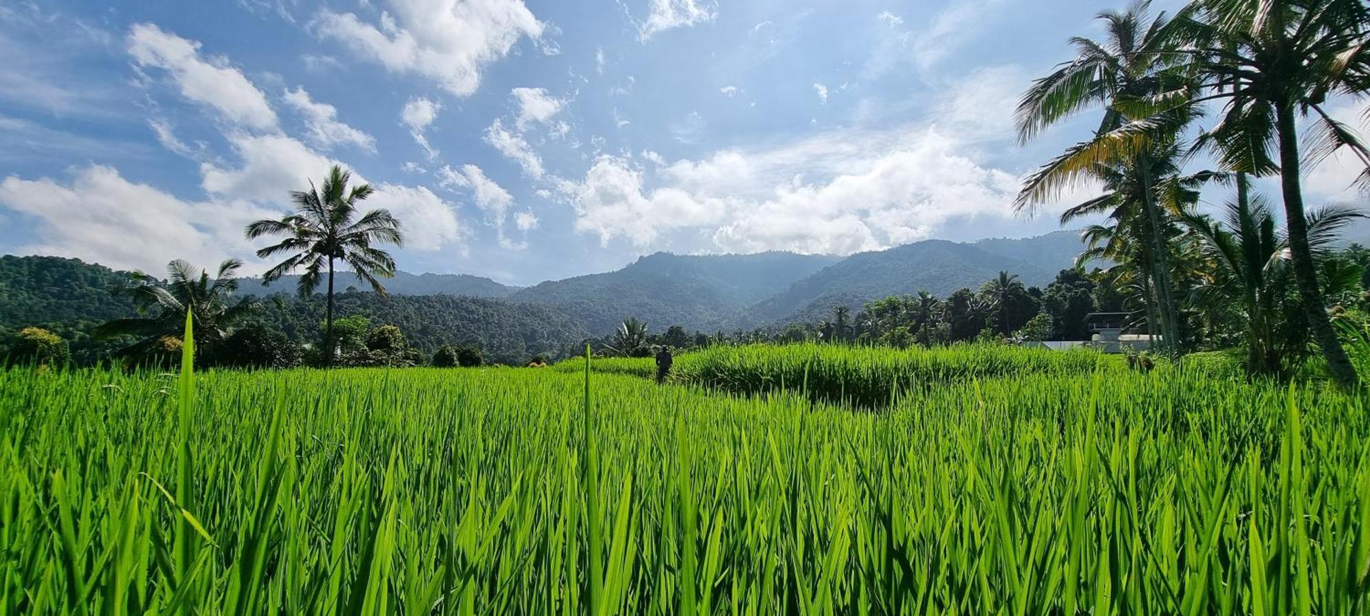Utopiaku - Munduk Highlands Villa ภายนอก รูปภาพ