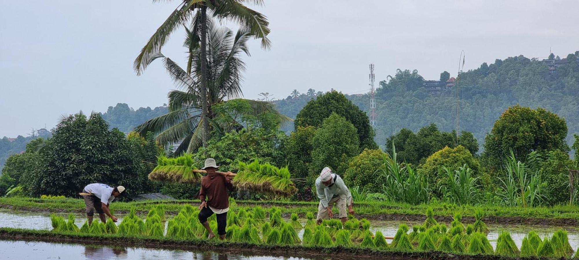 Utopiaku - Munduk Highlands Villa ภายนอก รูปภาพ