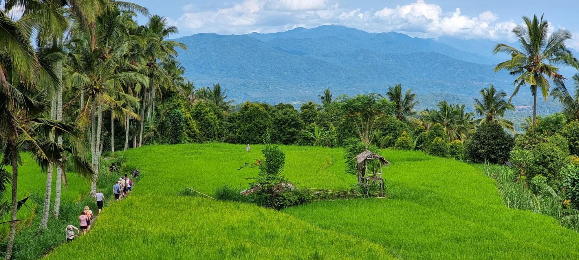 Utopiaku - Munduk Highlands Villa ภายนอก รูปภาพ