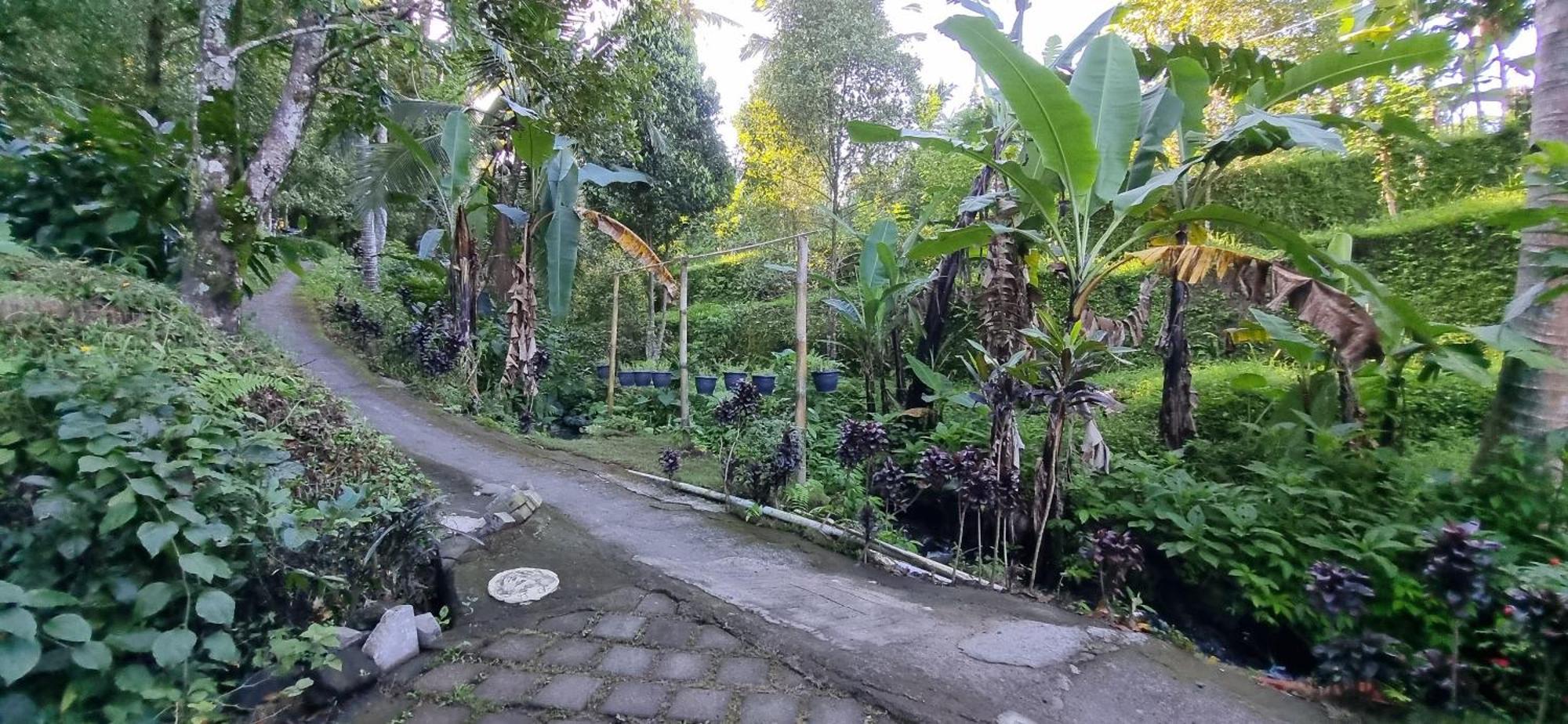 Utopiaku - Munduk Highlands Villa ภายนอก รูปภาพ