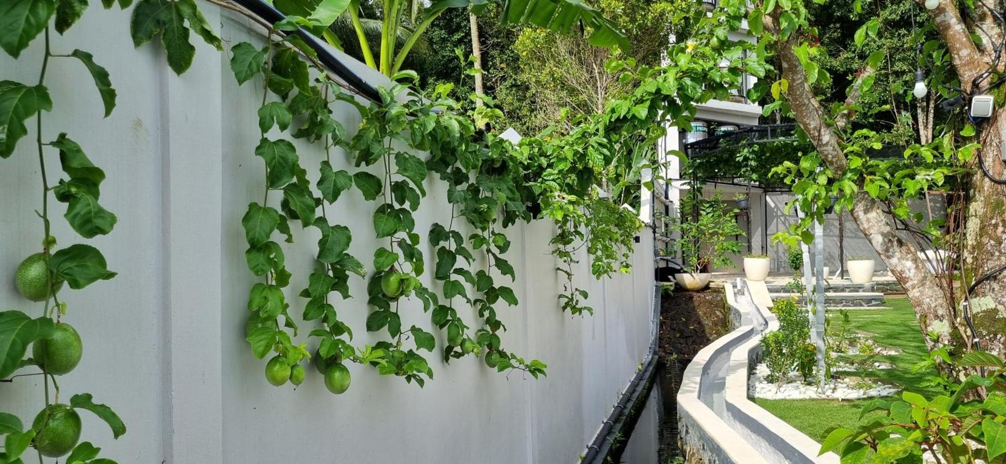 Utopiaku - Munduk Highlands Villa ภายนอก รูปภาพ
